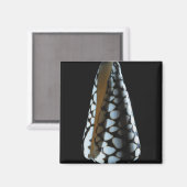 Schaal van één stuk 2 magneet (Voorkant / Achterkant)