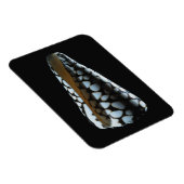 Schaal van één stuk 2 magneet (Rechterzijde)