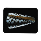 Schaal van één stuk 2 magneet (Horizontaal)