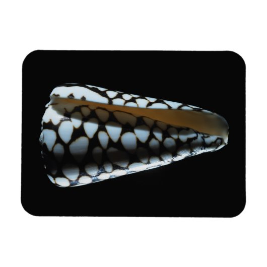 Schaal van één stuk 2 magneet (Horizontaal)