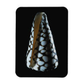 Schaal van één stuk 2 magneet (Verticaal)