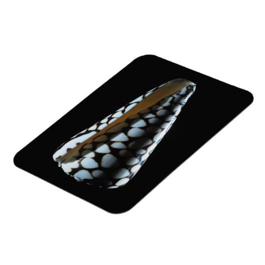 Schaal van één stuk 2 magneet (Linkerzijde)