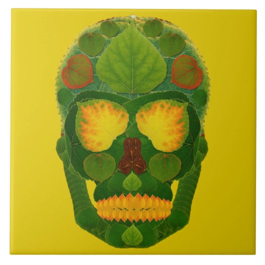 Schaal van spen 9 tegeltje (Voorkant)