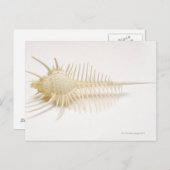 Schaal van verrijkt urex briefkaart (Voorkant / Achterkant)