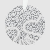 Schaal voor zwarte en witte slangen ornament (voorkant)