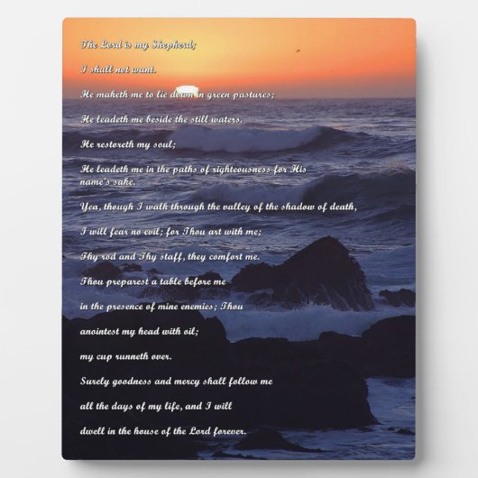 Schaalbedden Plaque Fotoplaat (Voorkant)