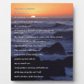 Schaalbedden Plaque Fotoplaat (Voorkant)