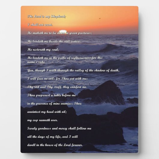 Schaalbedden Plaque Fotoplaat (Voorkant)