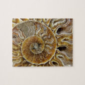 Schaaldier Fossil Puzzle Legpuzzel (Horizontaal)