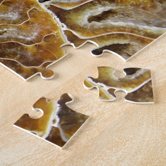 Schaaldier Fossil Puzzle Legpuzzel (Zijkant)