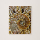 Schaaldier Fossil Puzzle Legpuzzel (Verticaal)