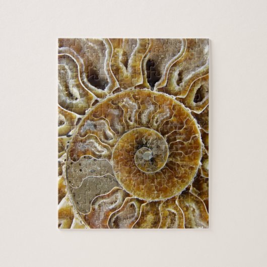 Schaaldier Fossil Puzzle Legpuzzel (Verticaal)