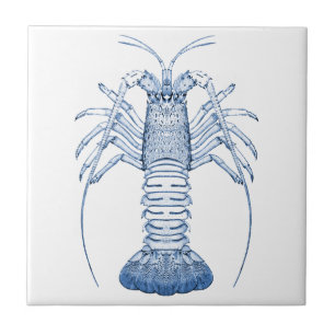 Schaaldieren Ceramics ~ Rock Lobster Tegeltje
