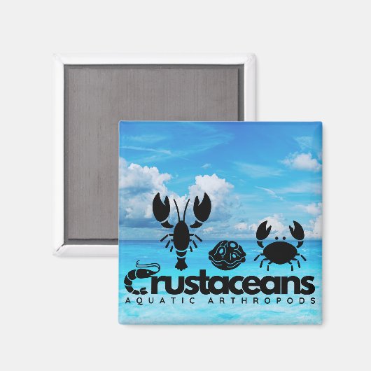 Schaaldieren - watergeleedpotigen magneet (Voorkant / Achterkant)