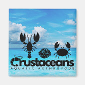 Schaaldieren - watergeleedpotigen magneet (Voorkant)