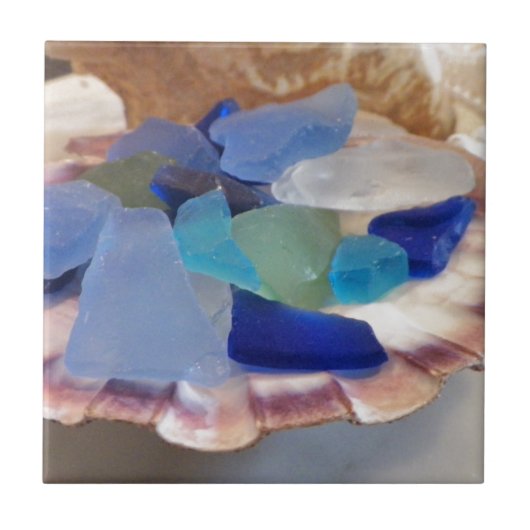 Schaaldop met Zeeen glas Tegeltje (Voorkant)