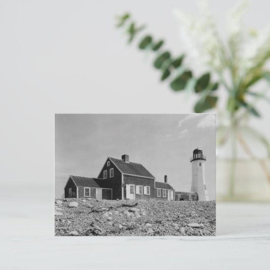 Schaallicht Briefkaart (Staand voorkant)