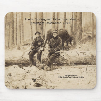 Schaalmachines in Deadwater, Maine - 1916 Muismat