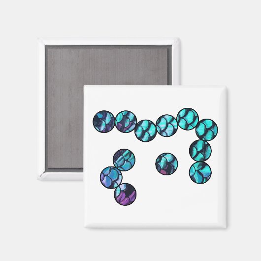 Schaalt microbe magneet (Voorkant / Achterkant)