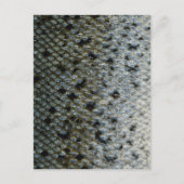 Schaalvis 2 briefkaart (Voorkant)