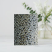 Schaalvis 2 briefkaart (Staand voorkant)