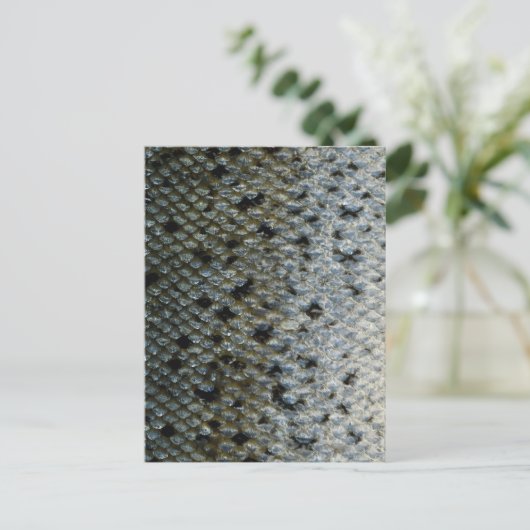 Schaalvis 2 briefkaart (Staand voorkant)