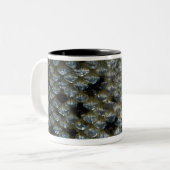 Schaalvis 2 tweekleurige koffiemok (Voorkant links)