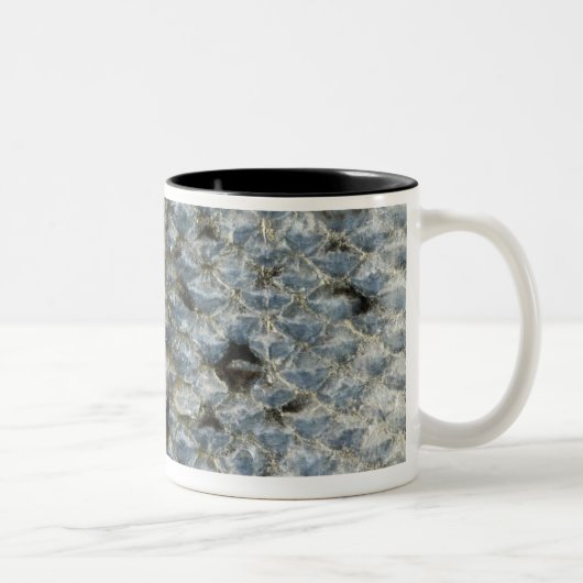 Schaalvis 2 tweekleurige koffiemok (Rechts)