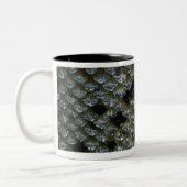 Schaalvis 2 tweekleurige koffiemok (Links)