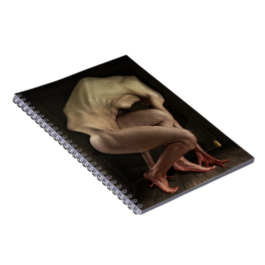 Schaamte 2012 notitieboek (Rechterzijde)