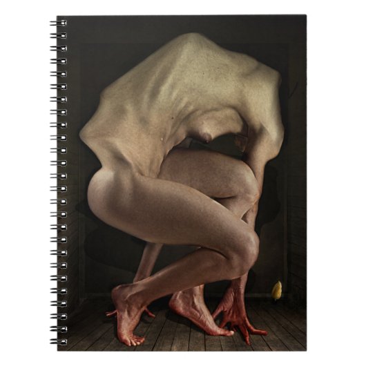 Schaamte 2012 notitieboek (Voorkant)