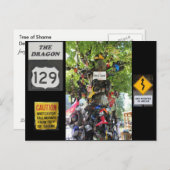 Schaamtelijn Briefkaart (Voorkant / Achterkant)