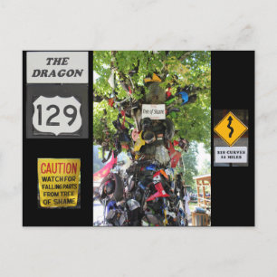 Schaamtelijn Briefkaart