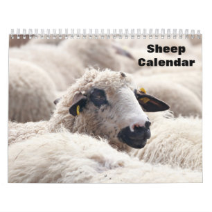Schaap 2027 kalender