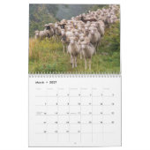 Schaap 2027 kalender (Mar 2027)