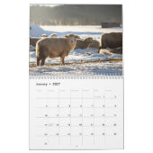 Schaap 2027 kalender (Jan 2027)