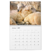 Schaap 2027 kalender (Jan 2027)
