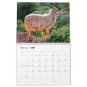 Schaap 2027 kalender (Feb 2027)