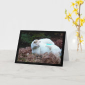 Schaap Betrapt Kaart (Gele Bloem)