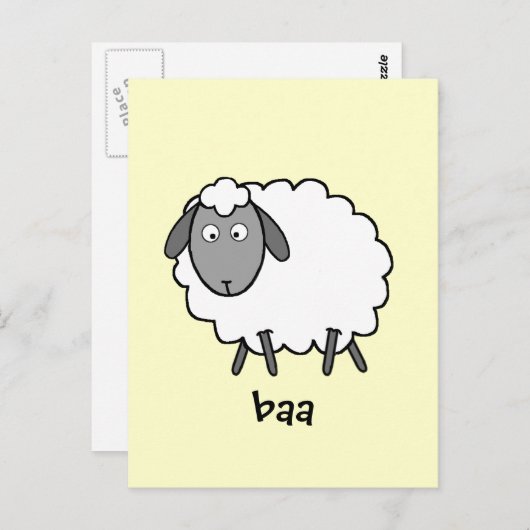 Schaap Briefkaart (Voorkant / Achterkant)