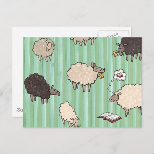 Schaap Briefkaart (Voorkant / Achterkant)