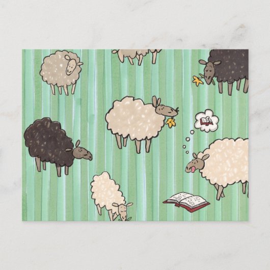 Schaap Briefkaart (Voorkant)
