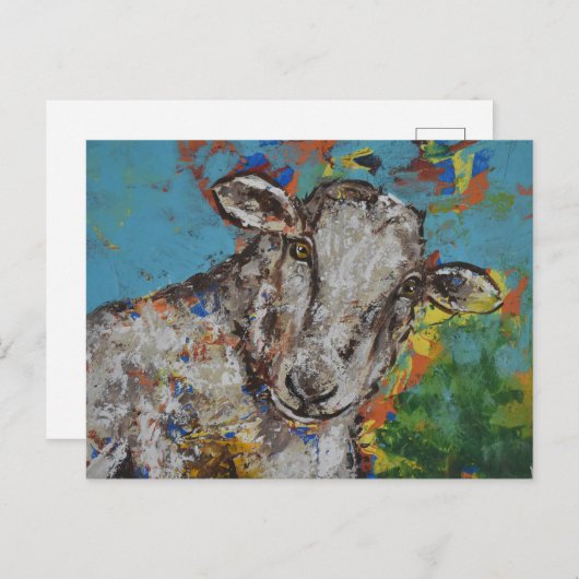 Schaap Briefkaart (Voorkant / Achterkant)