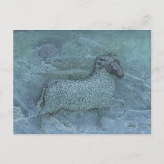 Schaap Briefkaart (Voorkant)