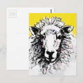 Schaap Briefkaart (Voorkant / Achterkant)