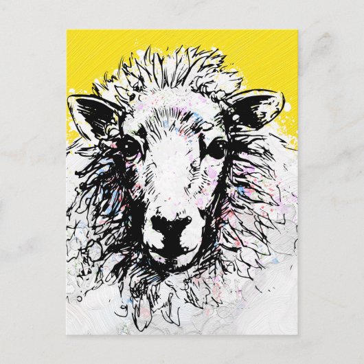 Schaap Briefkaart (Voorkant)
