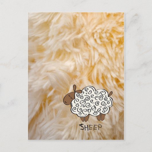 Schaap Briefkaart (Voorkant)