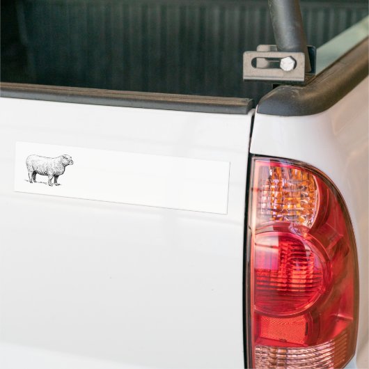 Schaap Bumpersticker (Op Truck)