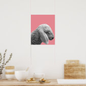 Schaap dier boerderij foto kinderkamer poster (Keuken)