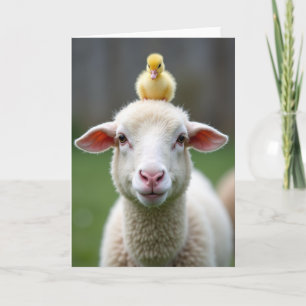 Schaap En Kuiken Vriendschapskaart Kaart